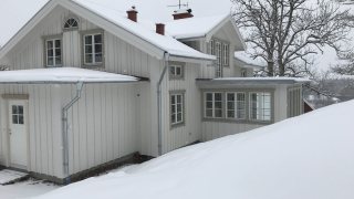 IMG_1442